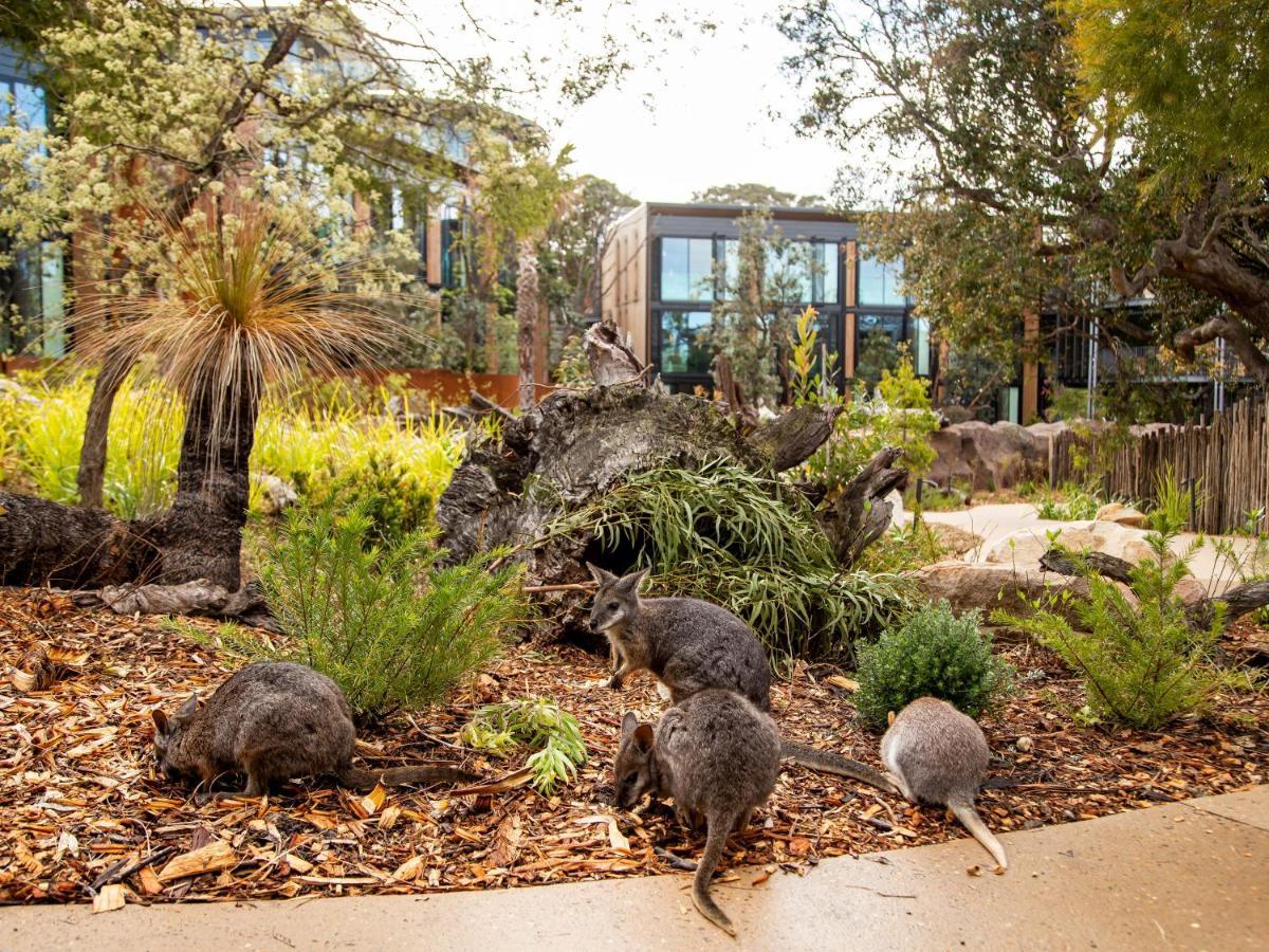 Wildlife Retreat At Taronga Hotel Sydney Eksteriør billede