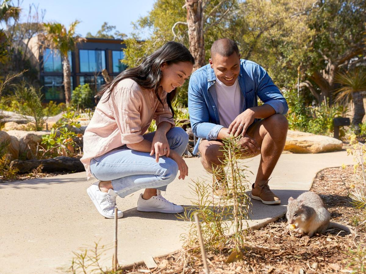 Wildlife Retreat At Taronga Hotel Sydney Eksteriør billede